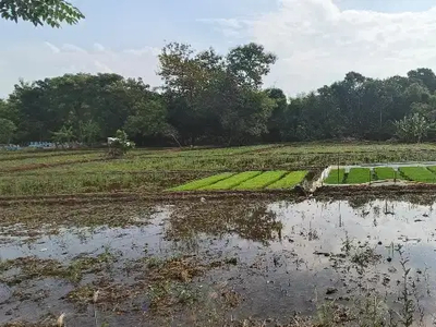 Tanah dijual di Loji Kobong Majalengka Jawa Barat