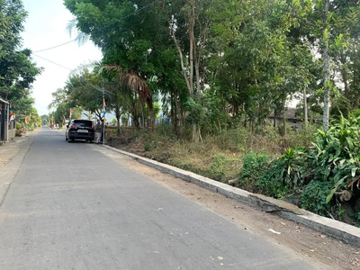 Tanah Dijual Jogja Belakang LPMP dan Dekat Exit Tol Kalasan, SHMP