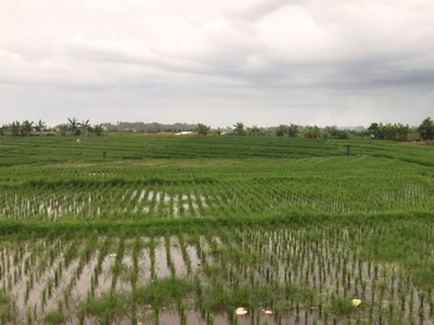 tanah itr pariwisata 400 meter dari pantai di tabanan bali.