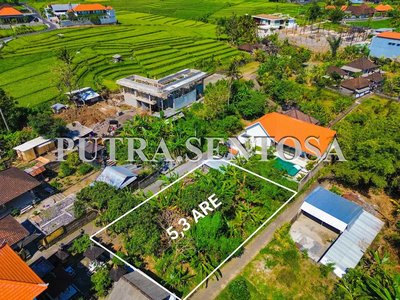 TANAH TUMBAK BAYUH PERERENAN VIEW SAWAH