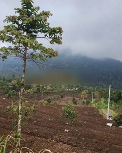Tanah view pegunungan di Buleleng, cocok untuk investasi atau Resort