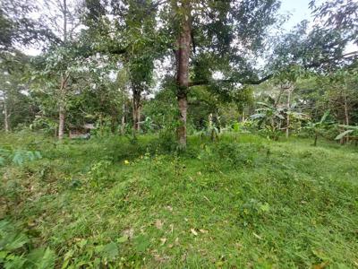 Dijual tanah kebun