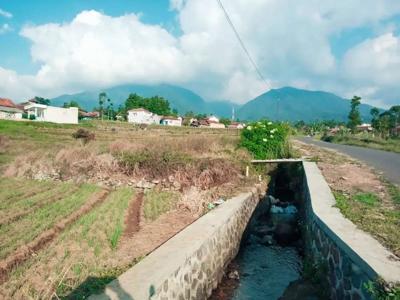 Jual kebun pinggir jalan dibawah kaki gunung