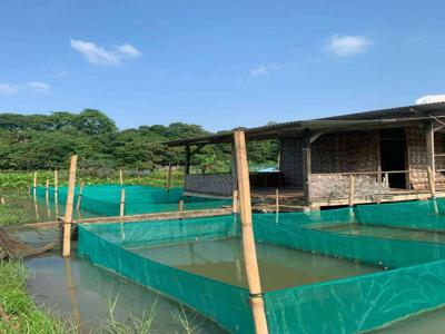 Jual Tanah Parung Bogor murah luas dan Cocok Untuk Usaha Ternak Ikan