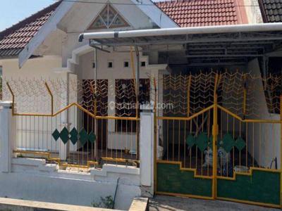 Rumah Bagus Disewakan di Lowokwaru Malang Gmk02203