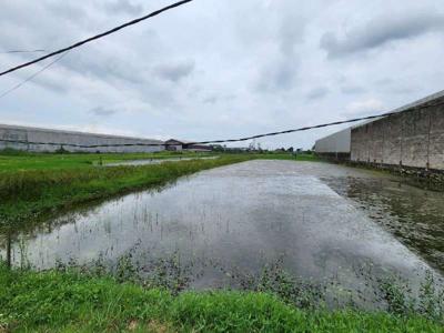 Tanah Industri Weringin Anom Gresik Boleh Beli Separuh