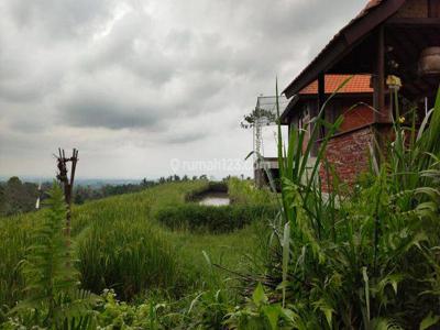 Tanah Kebun View Sawah Kawasan Desa Wisata di Bali