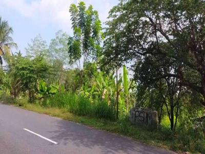 Tanah Pekarangan 2,5 Hektar Zona Industri Sentolo Kulon Progo