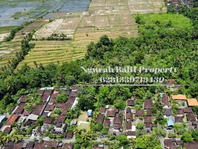 Disewakan Tanah Murah Luas 32 Are View Sungai, Sawah dan Hutan