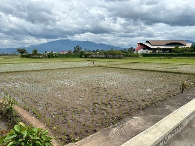 disewakan turun harga tanah sawah dekat pintu tol di mainroad soreang