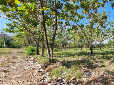 Exclusive Development Opportunity Near Melasti Beach, Bali