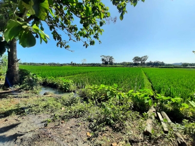 Kulon Progo, Dekat YIA Bandara Jogja