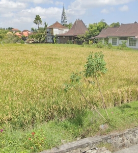 Land for Leasehold in Kedungu Bali close Canggu