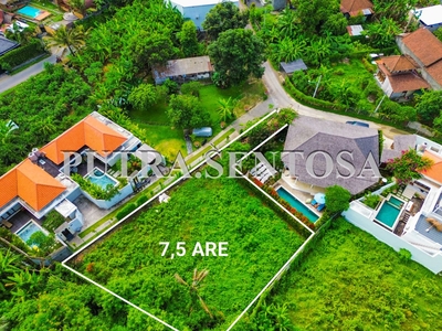 LAND FOR RENT CANGGU TIYING TUTUL VETERAN