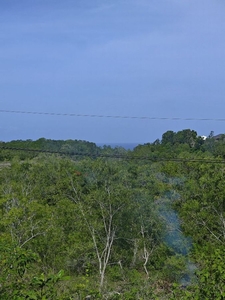 Land in Uluwatu Bali 112 are for sale Freehold
