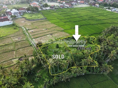 Tanah 2358m² di Lodtunduh , Ubud View Sawah