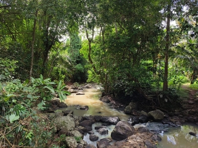 TANAH KEBUN LUAS KECIL VIEW SAWAH LOS SUNGAI DI TABANAN BALI.