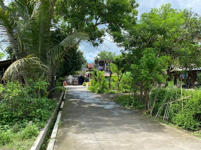 Tanah Pekarangan di Borobudur, Magelang.