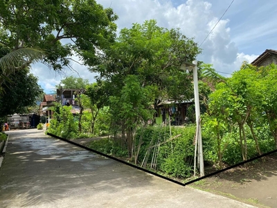 Tanah Pekarangan Murah di Borobudur, Magelang.