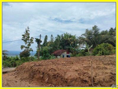 Dekat Jl. Raya Pengasih-Nanggulan: Tanah Dijual Murah Jogja Barat