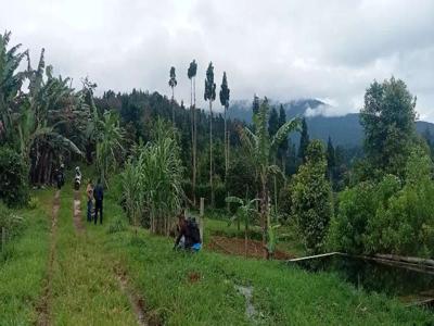 Dijual lahan di ketinggian 985 MDPL Situ Gunung