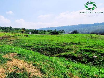 (Murah) Jual dan investasi tanah di area desa sukadamai luas 100 sqm