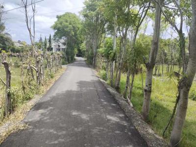 Tanah di Tanjong kecamatan ingin jaya Aceh besar