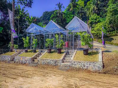 Tanah kavling kebun anggur di Bogor