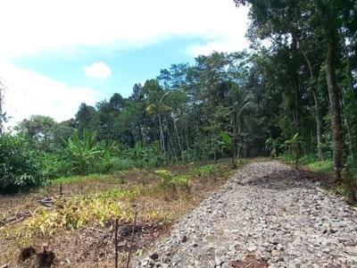 Tanah Kavling Kelurahan Mijen Dekat Pasar Mijen Bisa Angsur 12x