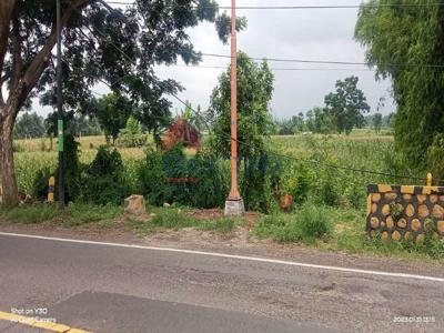 Tanah Luas Pinggir Jalan Raya Banyuwangi Situbondo Cocok Cluster Perum