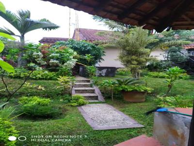 Vila dan kebun di gunung salak kab bogor