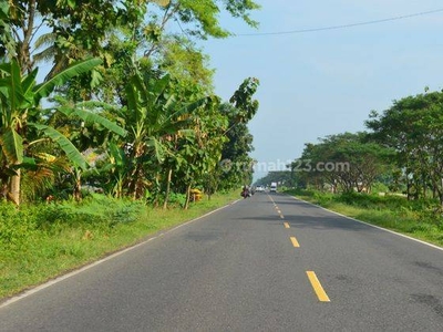 Dekat Bandara Yia Tanah Cluster Shmp Di Jalan Daendels Ngombol