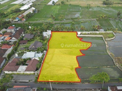 Dijual Tanah View Laut Dan Sawah Lokasi Strategis di Keramas