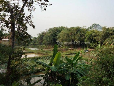 Tanah Kebun Lokasi Parung Kabupaten Bogor