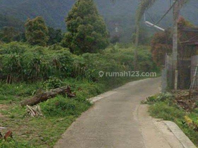 Tanah Luas View Gunung Cocok Untuk Glamping&Resort di Kota Bogor