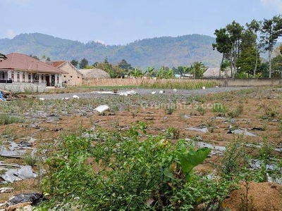 Tanah Murah Luas Nego di Cibodas Maribaya Lembang utk Investasi