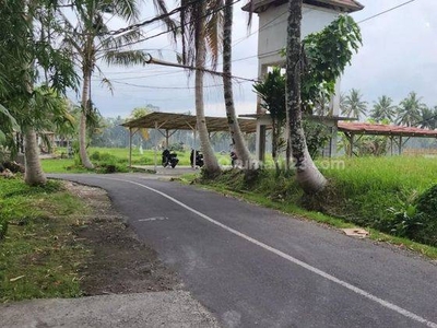 Tanah premium di jalan utama ubud, kawasan resort, kontur datar