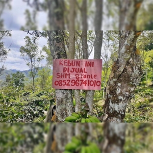 Dijual Tanah Kebun Kopi Pegunungan Luas 160m2 SHM - Aceh Tengah