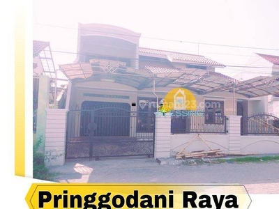 Disewakan Rumah Bangunan Baru Siap Pakai