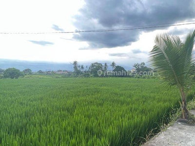 Disewakan Tanah Murah di Jalan Pererenan Canggu Badung Bali