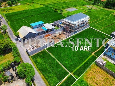 Land For Rent Nort Canggu Buduk