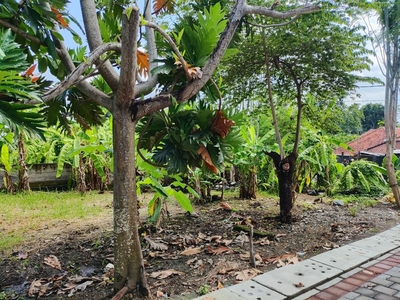 BL 08- disewakan tanah murah di kawasan umalas dekat seminya bali