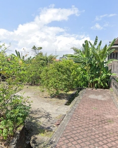 For Leasehold Yellow Zone land in Muding Kerobokan Bali