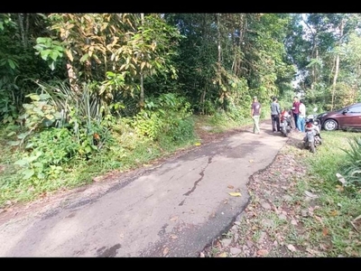 Tanah di jl ds Padasuka - Warunggunung, Lebak Banten