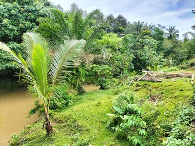 Tanah untuk kebun di jual