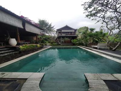 Guest House view sawah Di Canggu