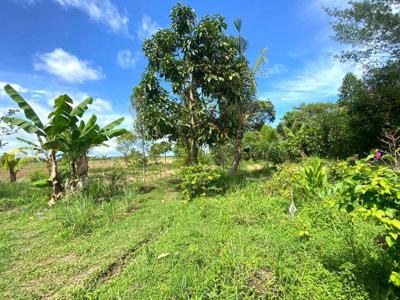 Dijual Tanah 8 Are View Sawah Lingkungan Asri di Tabanan.