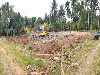 Investasi Terpercaya: Tanah Dijual di Temon, Kulonprogo