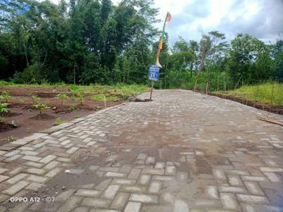 Tanah Kavling Murah Malang di Kedungrejo Pakis dkt Exit Toll Madyopuro