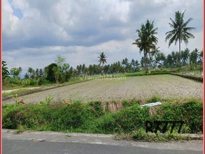 Area Jalan Raya Borobudur, Jual Tanah Magelang Di Mungkid
